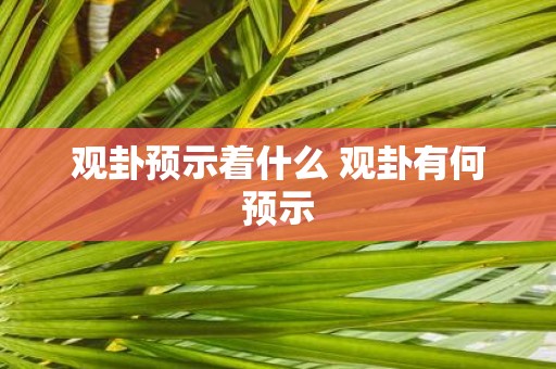 观卦预示着什么 观卦有何预示