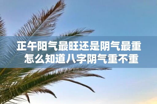 正午阳气最旺还是阴气最重 怎么知道八字阴气重不重