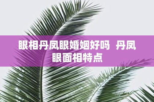 眼相丹凤眼婚姻好吗 丹凤眼面相特点