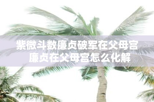 紫微斗数廉贞破军在父母宫 廉贞在父母宫怎么化解