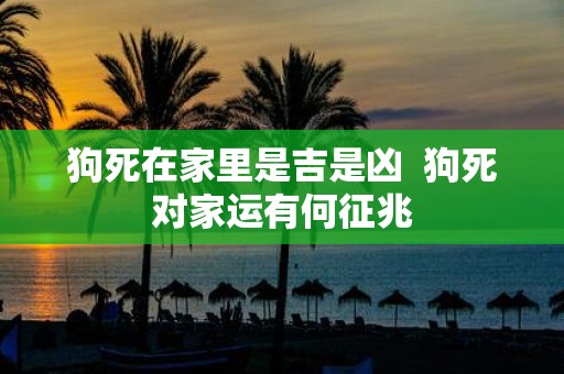 狗死在家里是吉是凶 狗死对家运有何征兆