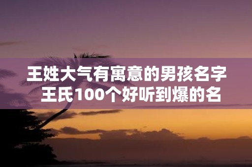 王姓大气有寓意的男孩名字  王氏100个好听到爆的名字