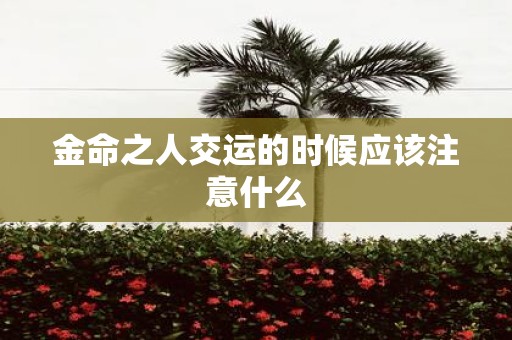 金命之人交运的时候应该注意什么