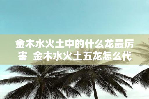 金木水火土中的什么龙最厉害 金木水火土五龙怎么代表