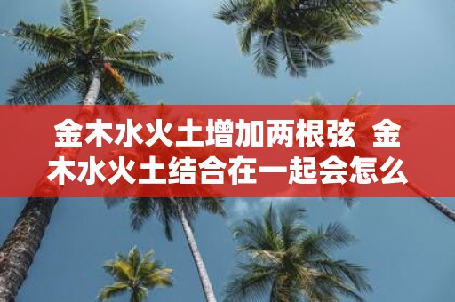 金木水火土增加两根弦 金木水火土结合在一起会怎么样