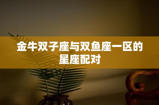 金牛双子座与双鱼座一区的星座配对