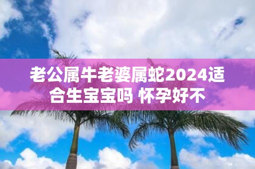 老公属牛老婆属蛇2025适合生宝宝吗 怀孕好不