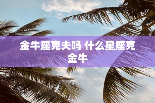 金牛座克夫吗 什么星座克金牛