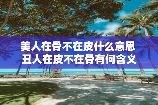 美人在骨不在皮什么意思 丑人在皮不在骨有何含义