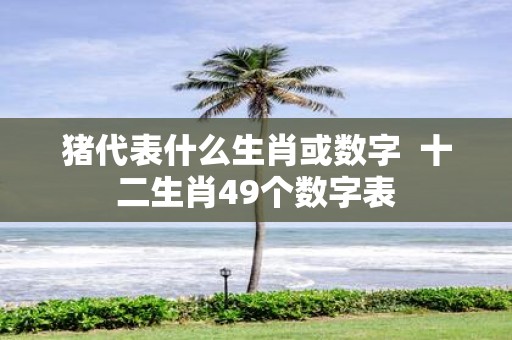 猪代表什么生肖或数字 十二生肖49个数字表