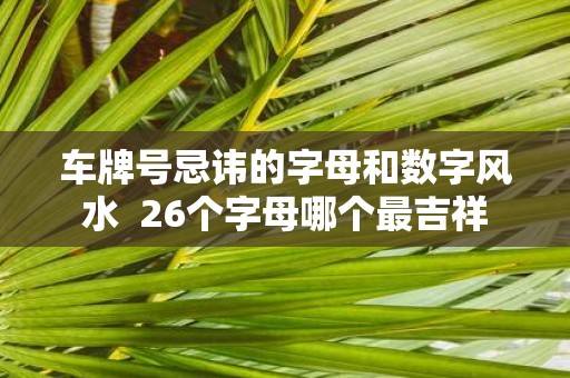 车牌号忌讳的字母和数字风水 26个字母哪个最吉祥