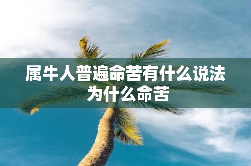 属牛人普遍命苦有什么说法 为什么命苦