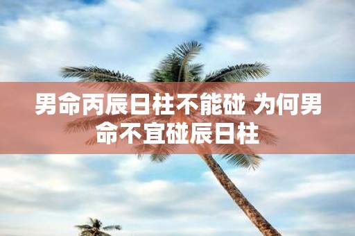 男命丙辰日柱不能碰 为何男命不宜碰辰日柱