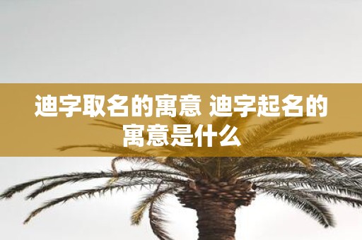 迪字取名的寓意 迪字起名的寓意是什么