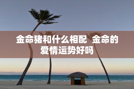 金命猪和什么相配 金命的爱情运势好吗