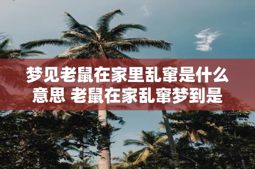 梦见老鼠在家里乱窜是什么意思 老鼠在家乱窜梦到是什么意思