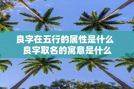 良字在五行的属性是什么 良字取名的寓意是什么