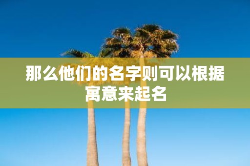 那么他们的名字则可以根据寓意来起名