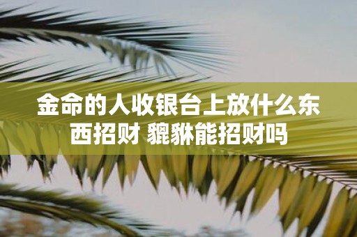 金命的人收银台上放什么东西招财 貔貅能招财吗