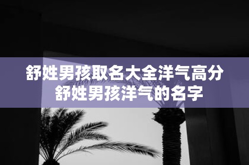 舒姓男孩取名大全洋气高分 舒姓男孩洋气的名字