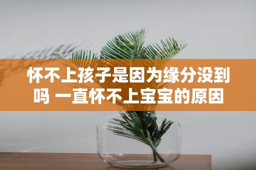 怀不上孩子是因为缘分没到吗 一直怀不上宝宝的原因