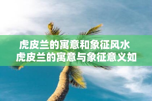 虎皮兰的寓意和象征风水 虎皮兰的寓意与象征意义如何