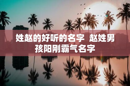姓赵的好听的名字 赵姓男孩阳刚霸气名字