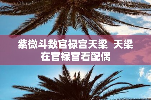 紫微斗数官禄宫天梁 天梁在官禄宫看配偶
