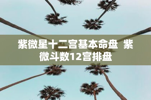 紫微星十二宫基本命盘 紫微斗数12宫排盘