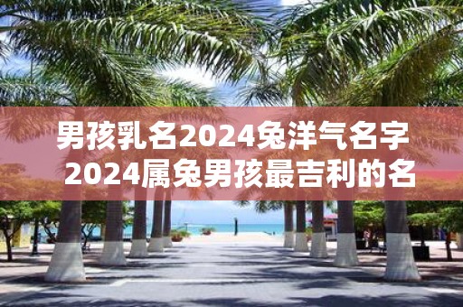 男孩乳名2025兔洋气名字 2025属兔男孩最吉利的名字