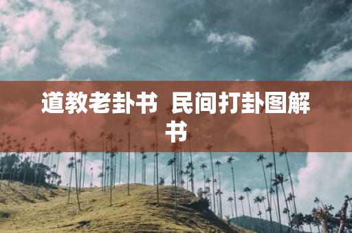 道教老卦书 民间打卦图解书