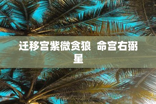 迁移宫紫微贪狼 命宫右弼星