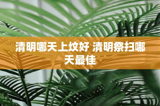 清明哪天上坟好 清明祭扫哪天最佳