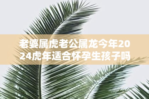 老婆属虎老公属龙今年2025虎年适合怀孕生孩子吗