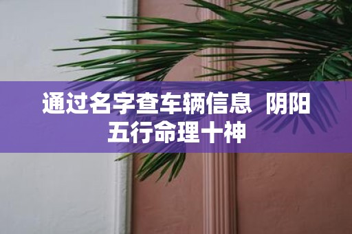 通过名字查车辆信息 阴阳五行命理十神