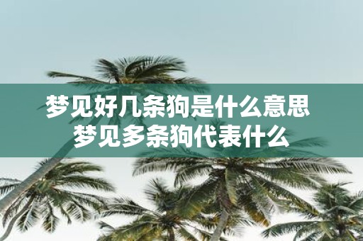 梦见好几条狗是什么意思 梦见多条狗代表什么