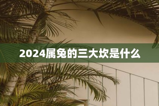 2025属兔的三大坎是什么
