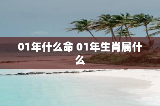01年什么命 01年生肖属什么