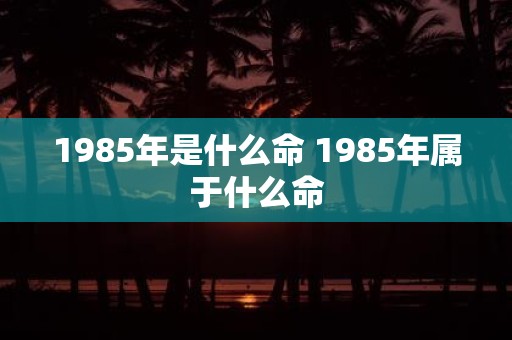 1985年是什么命 1985年属于什么命