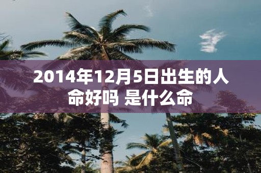 2014年12月5日出生的人命好吗 是什么命