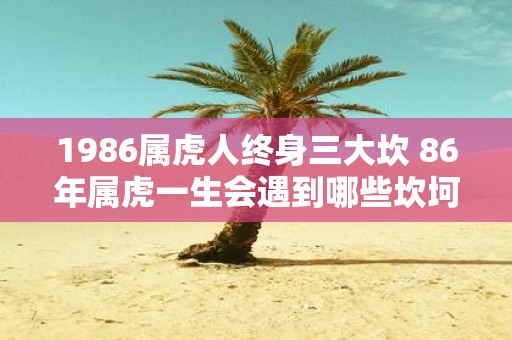 1986属虎人终身三大坎 86年属虎一生会遇到哪些坎坷