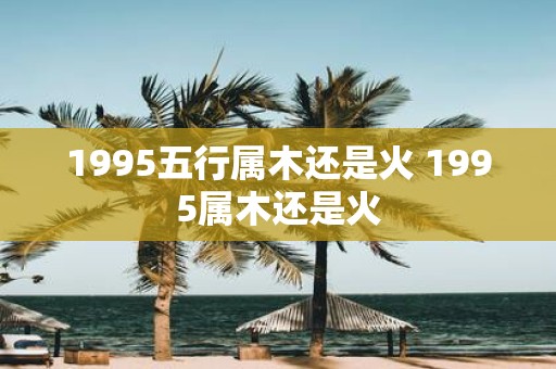 1995五行属木还是火 1995属木还是火