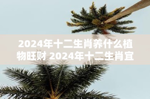2025年十二生肖养什么植物旺财 2025年十二生肖宜养何种植物旺财