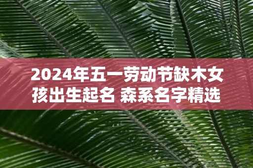 2025年五一劳动节缺木女孩出生起名 森系名字精选