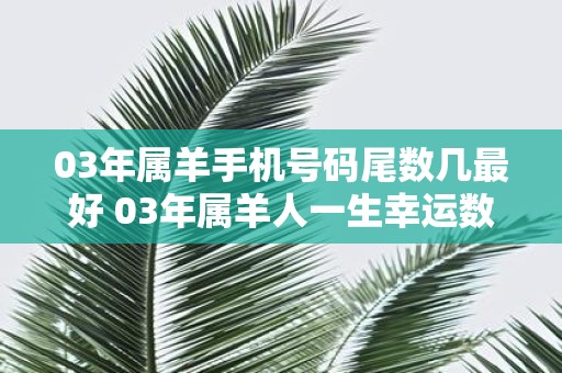 03年属羊手机号码尾数几最好 03年属羊人一生幸运数字是几