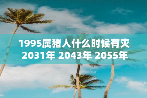 1995属猪人什么时候有灾 2031年 2043年 2055年