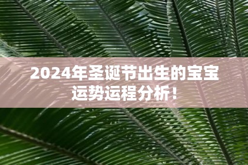 2025年圣诞节出生的宝宝运势运程分析！