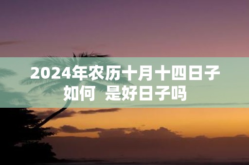 2025年农历十月十四日子如何 是好日子吗