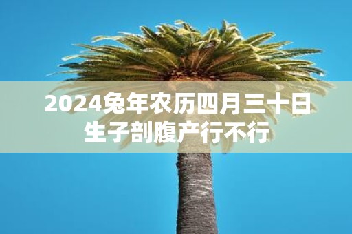2025蛇年农历四月三十日生子剖腹产行不行