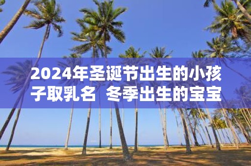 2025年圣诞节出生的小孩子取乳名 冬季出生的宝宝命运
